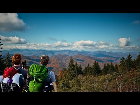 We Hammock Camped in NC’s BEAR HOTSPOT