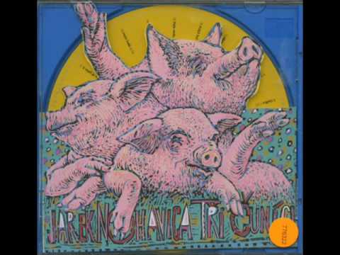 Jaromír Nohavica - Večerní