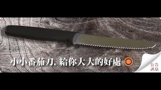 【慶泰餐具 / 協泰行】蕃茄刀的妙用