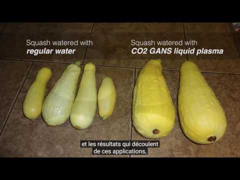 2017 01 05 PM Public Teaching in French - Enseignements publics en français