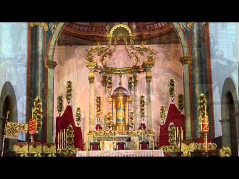 Evangelio  del  dia   30  de  Octubre  de   2011