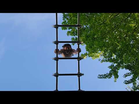 Handstand on a high Position | Tim Jost