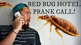 PRANK CALLING THE BED BUG HOTEL | Sasana hotel KL