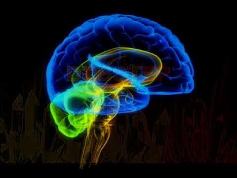 Brains - Positive People ft TenorFly (Bassex Rmx)