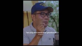 Download lagu story wa istri sholeha mp3 Download lagu story wa istri sholeha mp3