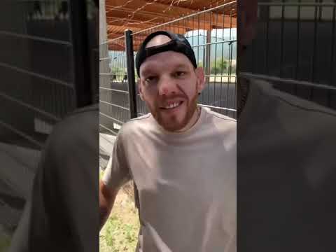 Freko et Nemo #freestyle 18 - mexican