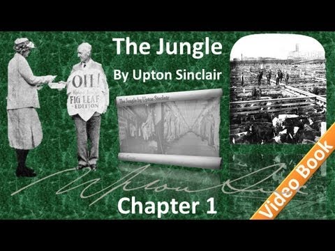 , title : 'The Jungle by Upton Sinclair - Chapter 01'