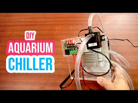 Cool Down Your Aquarium with a DIY Chiller: Step-by-Step Tutorial