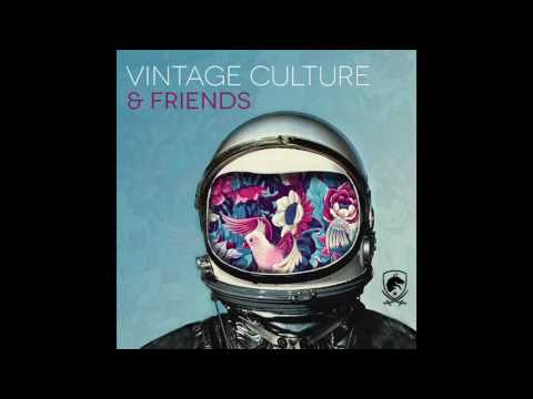 Vintage Culture - Gravity feat. Yves Paquet
