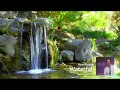 World Water Day -  Waterfall