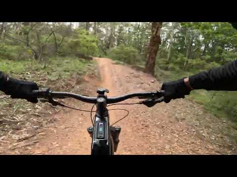Margaret River MTB Trails - Line Manager and Pugsley November 2025