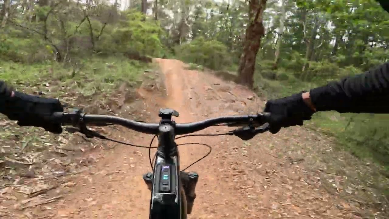 Margaret River MTB Trails - Line Manager and Pugsley November 2025