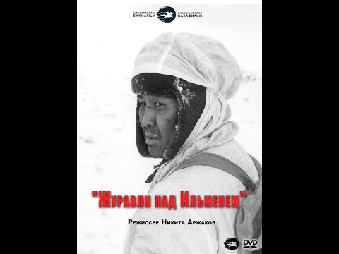 Журавли над Ильменем,  2005 год
