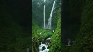 Download lagu Di Taman Nasional Gunung Gede Pangrango, Curug Kembar punya air terjun megah dan lembah hijau 🌊🌳 mp3 Download lagu Di Taman Nasional Gunung Gede Pangrango, Curug Kembar punya air terjun megah dan lembah hijau 🌊🌳 mp3