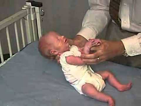 10/23. Clinical Pediatrics:  Hypotonia 4