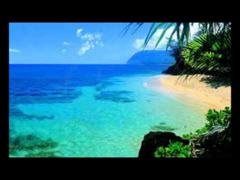 Joop Evers - Hawaiian wedding song