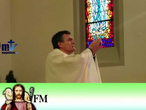 Homilía. San Bernabé, Apóstol. 11 de junio de 2018. P. Santiago Martín