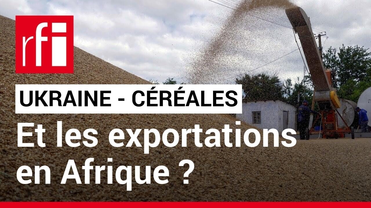 Ukraine : les exportations de céréales reprennent • RFI