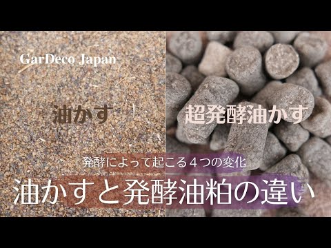 コーヒーかすは芝生に適していますか?何のために ？肥料としての4つの使い方  庭園