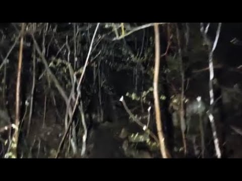 Přespali jsme ve Stránské skále.... Je její tajemství skutečné?? (proházené záběry) #legenda#duchove