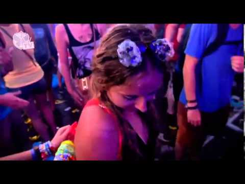Tomorrowland 2013 HD, Sebastian Ingrosso, Steve Aoki