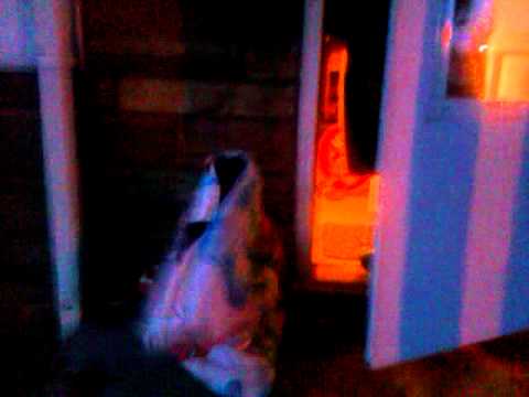 Funny stuff kid in pillowcase