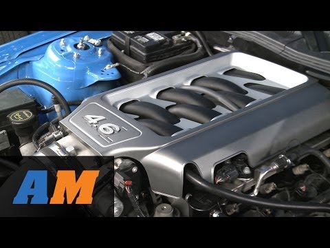 Mustang 4.6L Intake Plenum Cover (05-10 GT) Review