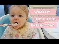 WHAT MY 8 MONTH BABY EATS IN A DAY & ROUTINE