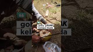 Download lagu gohu/rujak kelapa muda #petaninilam #shortsvideo mp3