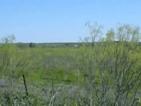 Formula 1 Austin, TEXAS Construction Site 3