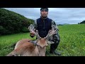 Grass Thieves In New Zealand Deerhunting