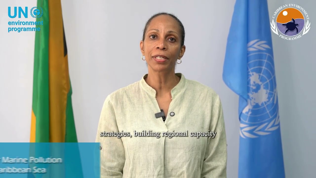 Meet the Staff of the Cartagena Convention Secretariat: Laverne Walker