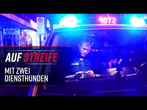 Auf Streife mit zwei Diensthunden - Polizei Hessen