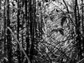 The Burning Red - Machine Head 
