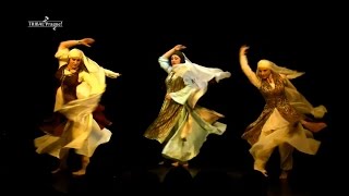 Mike Stern - We're with You [Tribal Prague Ballet]