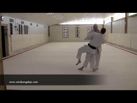 Judo Thows: Throwing and Delivery of Energy