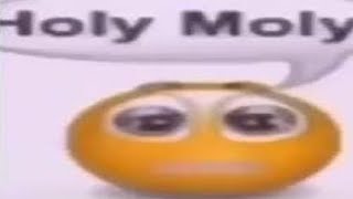 Cover art for holy moly