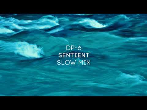 DP-6 - Sentient (Slow mix)