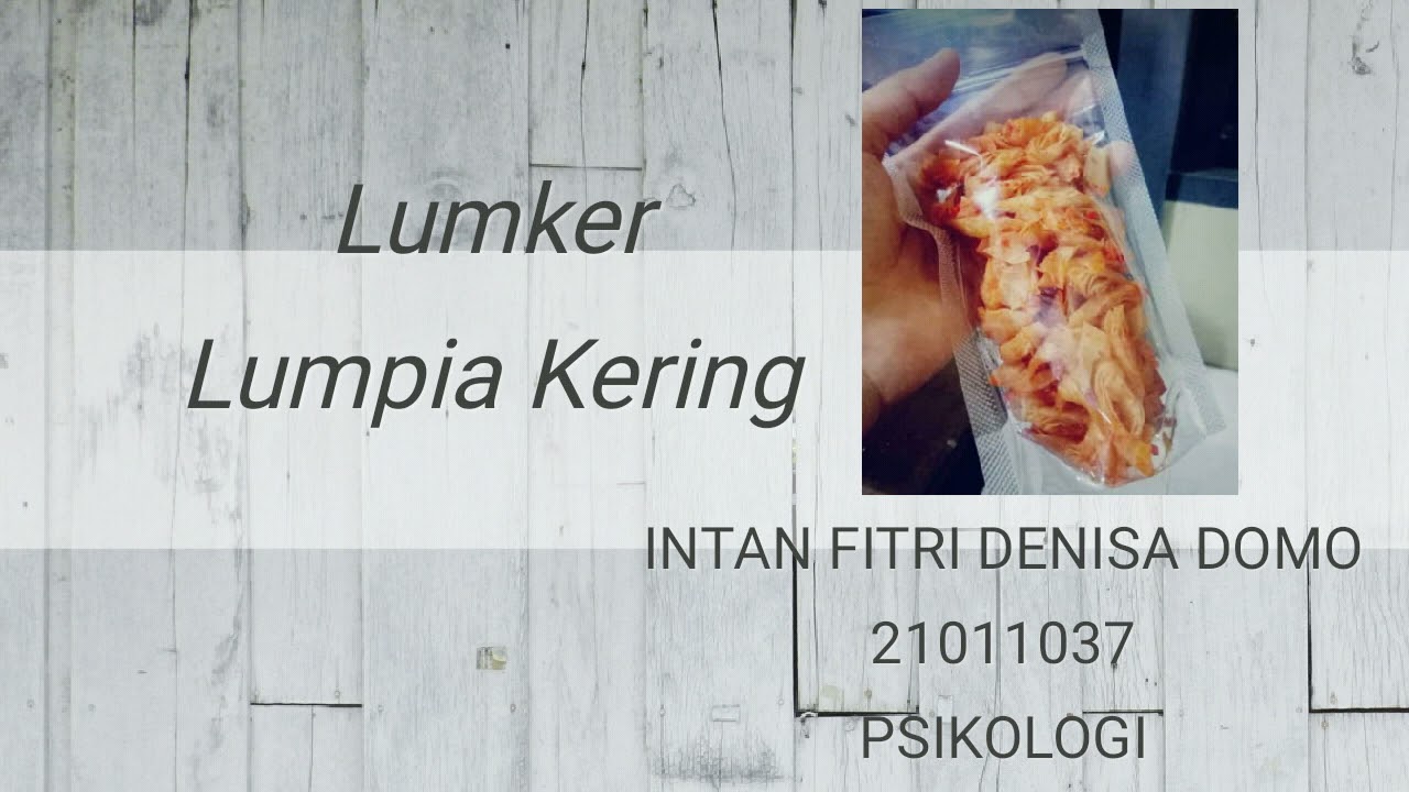 presentasi proposal kewirausahaan // Lumpia kering