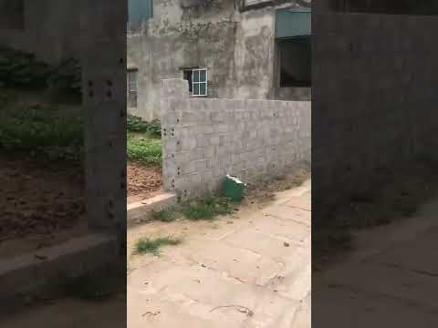 Lãi ngay khi mua! Mảnh đất lô góc giá rẻ Nam Triều, Phú Xuyên, Hà Nội, Dt 240m2