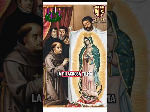 Virgen de Guadalupe #hechoscatolicos #juventudcristiana #virgendeguadalupe #virgenmaria