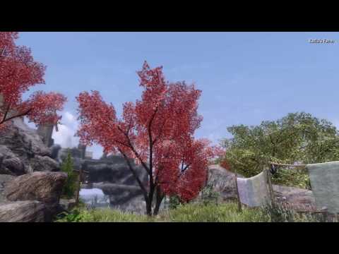 Miniature de la vidéo