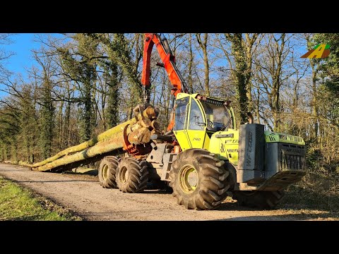 Holzernte 2022 - Forstschlepper WF Trac 2460 Stammholz rücken Sturmholz Forstwirtschaft Wood Skidder