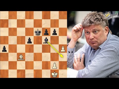 Najlepši manevar lovcem ikada | Topalov-Shirov