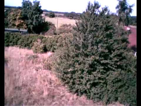 Shengkai D97 fpv video gearbest.com