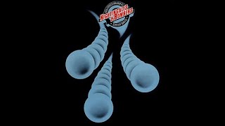 Manfred Mann's Earth Band:-'Visionary Mountains'