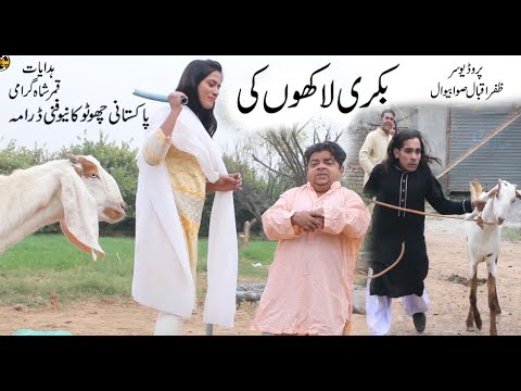 Bakri Lakho ki || Chotu Shahzada Ghaffar New Funny video 2019 || Pothwari Drama 2019