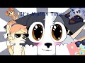 It S Muffin Time Animation Meme Bluey