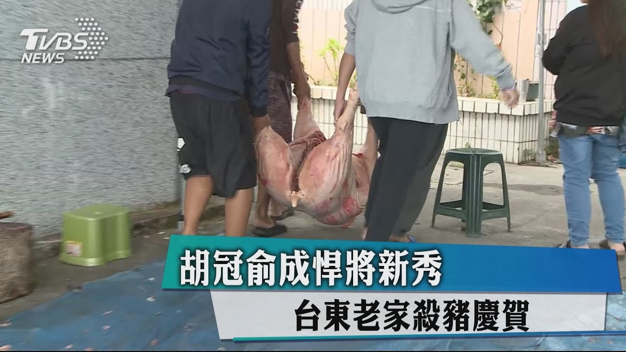 胡冠俞成悍將新秀　台東老家殺豬慶賀