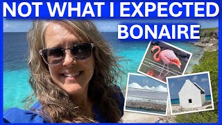 What to Do in Bonaire from a Cruise Ship | Bonaire Shore Excursion & Island Tour Guide | Celebrity